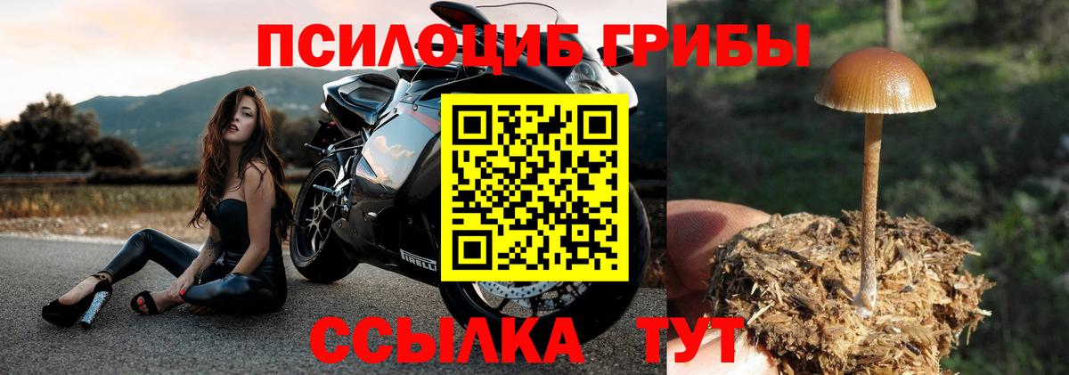 Псилоцибиновые грибы ЛСД  Галлюциногенные грибы MAGIC MUSHROOMS  Вход с VPN  Люберцы 